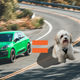 Image for article titled What's The Best Car-Related Pet Name?